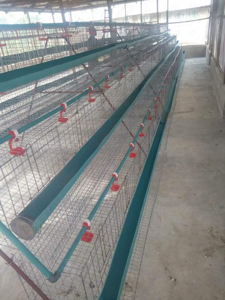 whatsapp image 2025 12 18 at 8.50.55 am