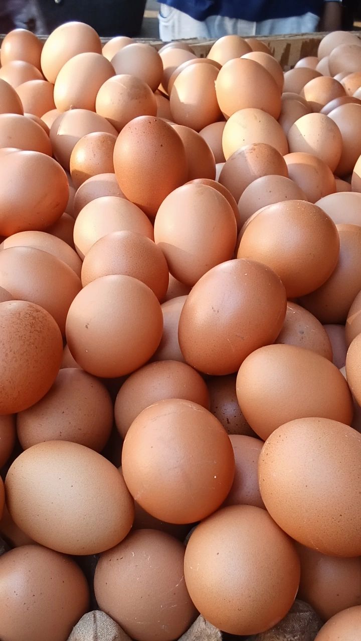 a1787bab92f9910f2e193143dacbcc44